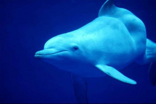 01300000246938127537688302614 01300000246938127537688302614