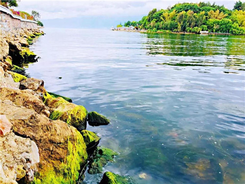 10_副本.jpg 10_副本.jpg