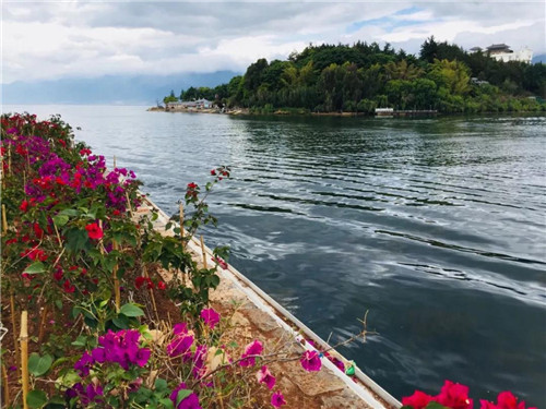 19_副本.jpg 19_副本.jpg