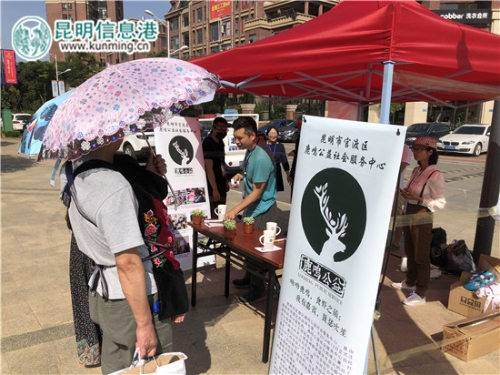 通過“舊衣?lián)Q綠植”的方式，倡導(dǎo)綠色環(huán)保生活