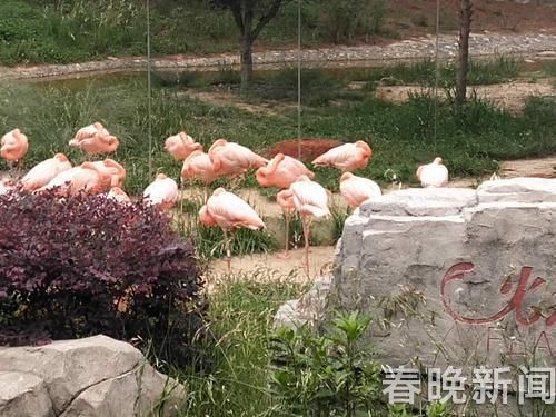 37010_500x500 37010_500x500