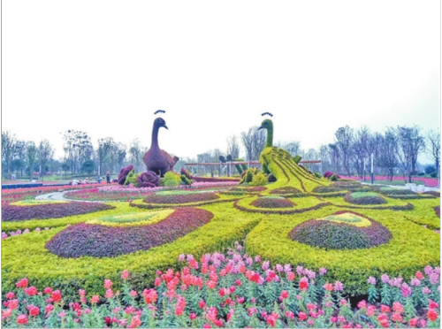 孔雀鎮(zhèn) 孔雀鎮(zhèn)