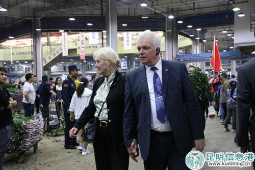 外國(guó)駐華使節(jié)團(tuán)參觀斗南鮮花交易市場(chǎng)。記者甘凌菲攝