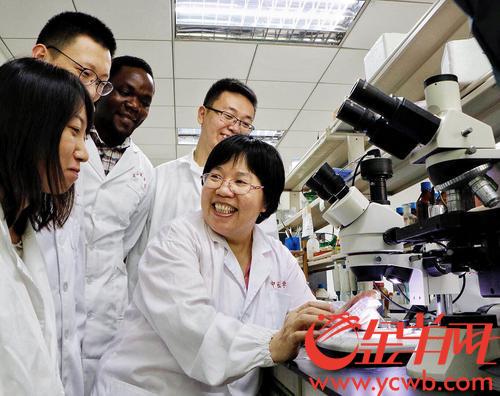 54463266-fc8d-49c9-8f69-ec0a6c16d7f2_batchwm 54463266-fc8d-49c9-8f69-ec0a6c16d7f2_batchwm