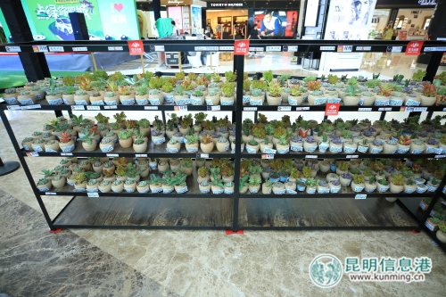 微信圖片_20180520210242