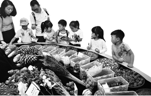 QQ截圖20180521092304 QQ截圖20180521092304