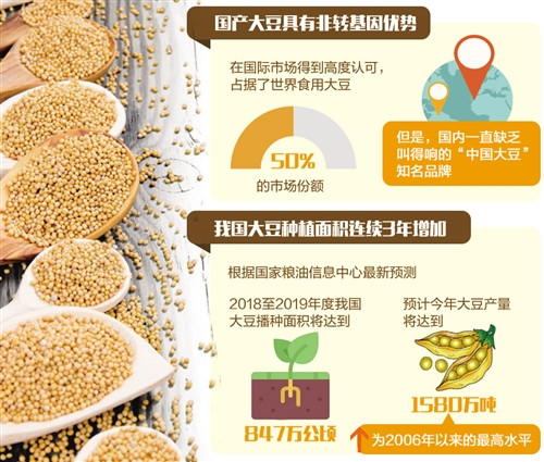 1122861890_15268651149251n4 1122861890_15268651149251n4