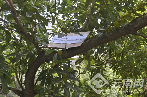 d8cb8a0c68b41c6bab9f17 d8cb8a0c68b41c6bab9f17