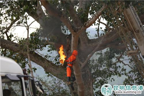 微信圖片_20180521102905 微信圖片_20180521102905