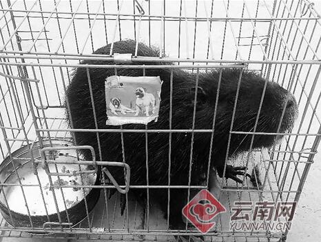 1860248a88061c6d5c8030 1860248a88061c6d5c8030