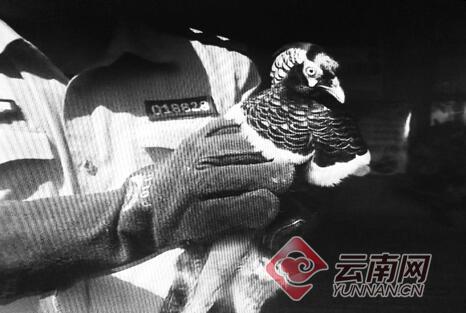 1860248a88061c6d5c8031 1860248a88061c6d5c8031