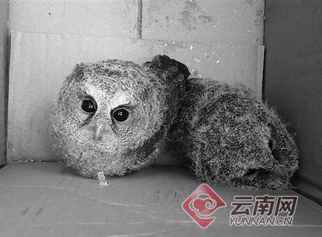 1860248a88061c6d5c8133 1860248a88061c6d5c8133