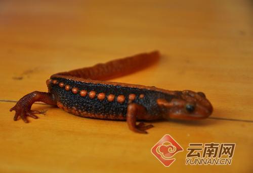 002324a096781c6e23b75a 002324a096781c6e23b75a