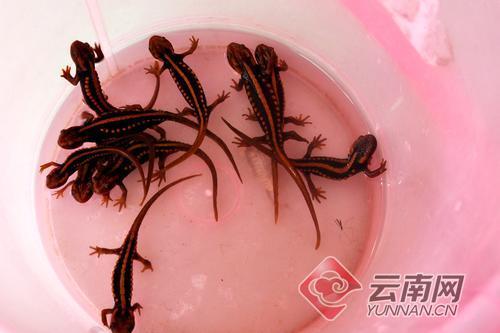 002324a096781c6e23b75b 002324a096781c6e23b75b