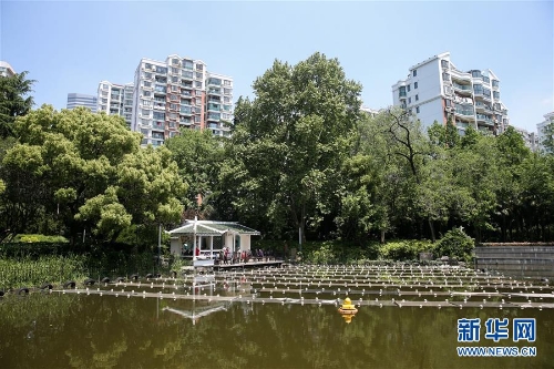 1122876794_15270663249191n