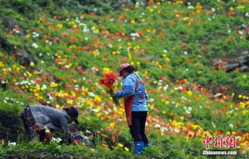 6ead93059f1f4a42b18711d200b2271e 6ead93059f1f4a42b18711d200b2271e