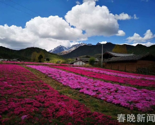 201805231712038PQD9Z 201805231712038PQD9Z