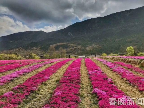 20180523171203VRTOJA 20180523171203VRTOJA