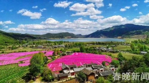 20180523171202O3BIUE 20180523171202O3BIUE