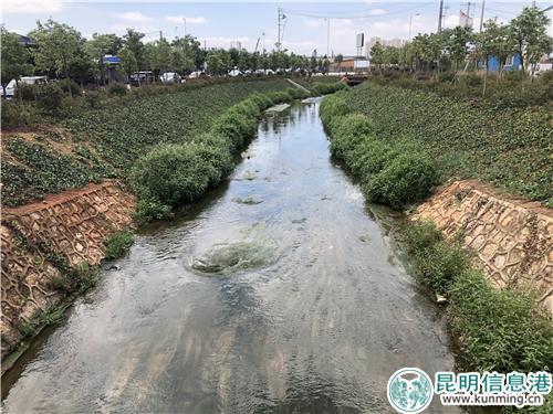 綠水盈盈、植物漸茂，海河舊貌換新顏。