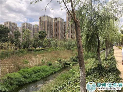 新建的生態(tài)長廊，讓海河披上了綠色的“衣裳”