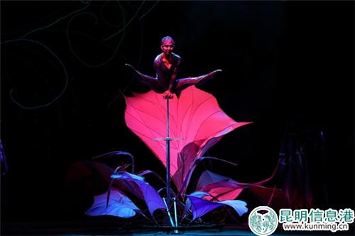 《天地寶藏》舞臺效果1