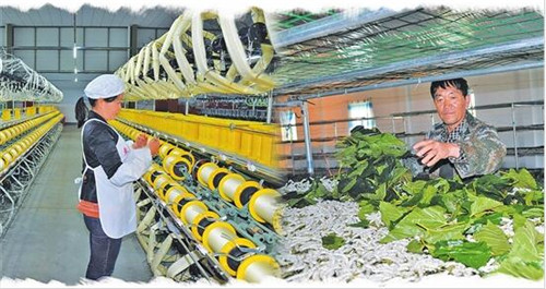 QQ截圖201805300809112