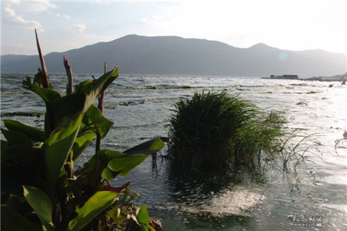 1527148252_xRnU8z2 1527148252_xRnU8z2