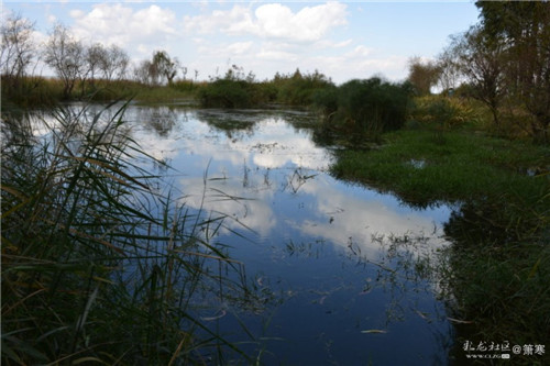 1527148460_l5IPyX4 1527148460_l5IPyX4