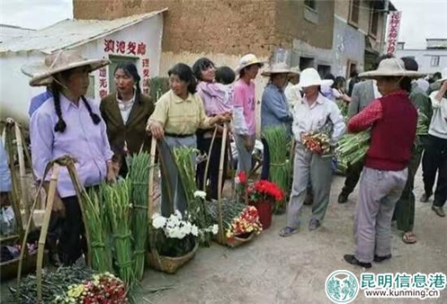 1992年，在斗南村形成的花街。供圖