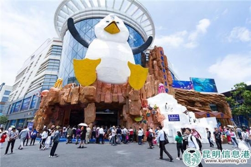 昆明花都海洋世界 供圖