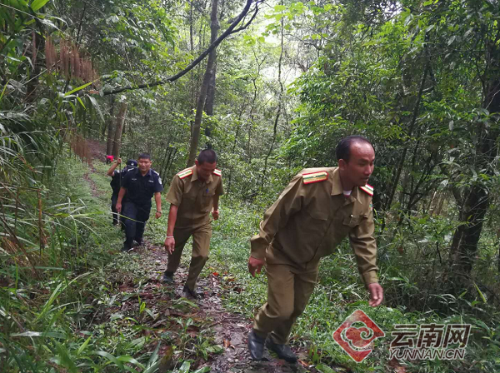 000c29d1d6171c7e4bdf5c 000c29d1d6171c7e4bdf5c