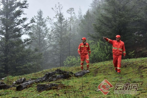 000c29aa72c51c8052f20d 000c29aa72c51c8052f20d