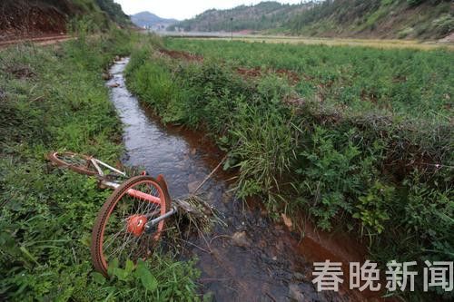 201806071749188KOACY