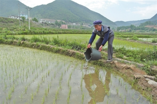 2018060808_res15_attpic_brief