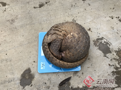 000c29d1d6171c88c85538 000c29d1d6171c88c85538