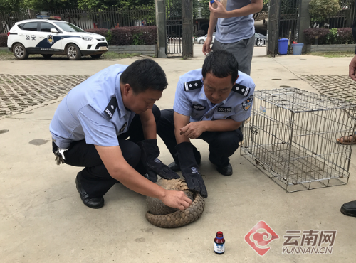 000c29d1d6171c88c85539 000c29d1d6171c88c85539