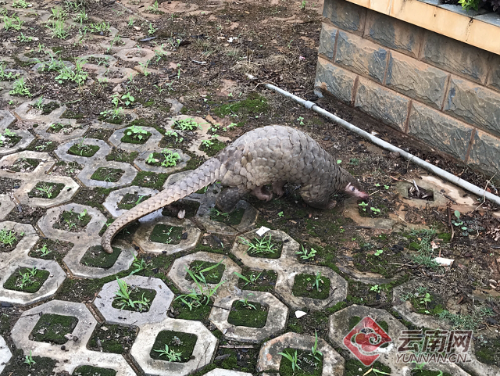 000c29d1d6171c88c8563a 000c29d1d6171c88c8563a