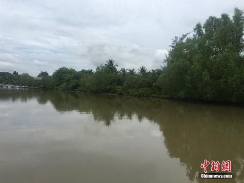 點(diǎn)擊進(jìn)入下一頁