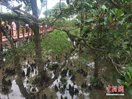 點(diǎn)擊進(jìn)入下一頁