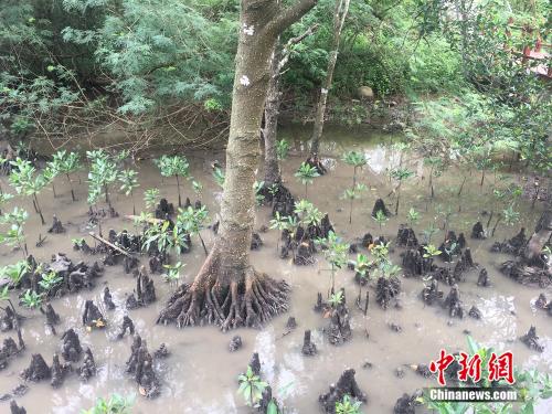 點(diǎn)擊進(jìn)入下一頁