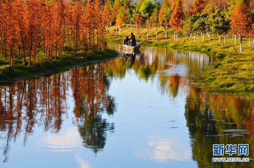晉寧東大河濕地1 晉寧東大河濕地1