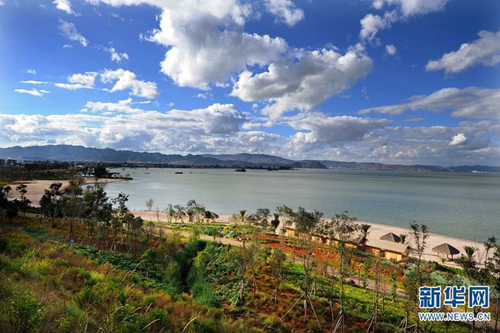 晉寧東大河濕地12 晉寧東大河濕地12