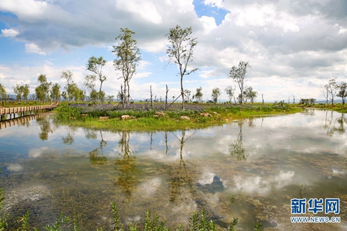 呈貢斗南濕地3 呈貢斗南濕地3