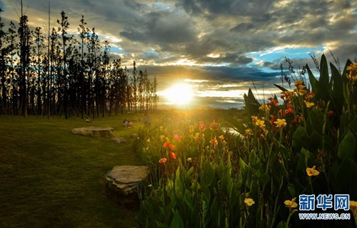 呈貢斗南濕地14 呈貢斗南濕地14