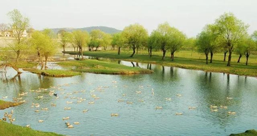 b205-fyvtmxe515088113 b205-fyvtmxe515088113