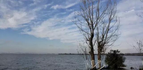 8c9c-fyvtmxe515100312 8c9c-fyvtmxe515100312