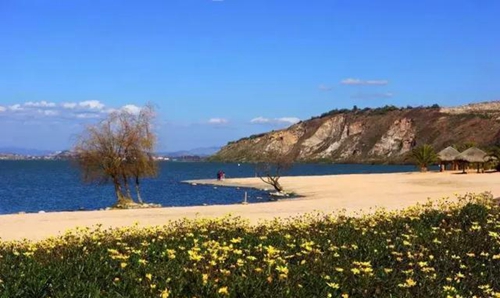 e055-fytnfyp144086407 e055-fytnfyp144086407