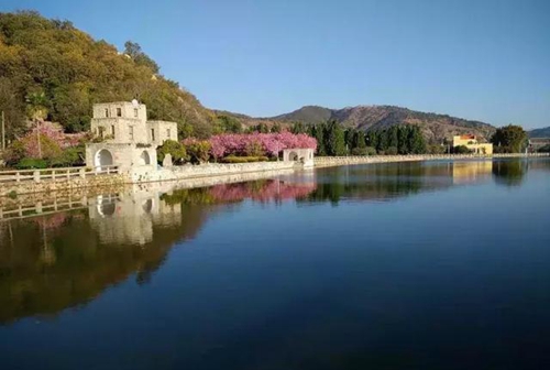 9f5d-fyvtmxe515178406 9f5d-fyvtmxe515178406