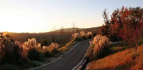 1500-fyvtmxe515187105 1500-fyvtmxe515187105